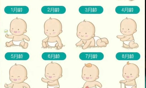 生血宁片 价格网 | 生血宁片配方表,生血宁片 价格多少钱