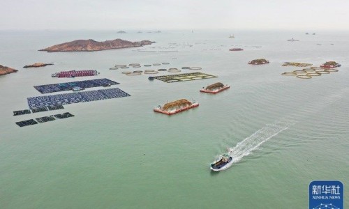 生血宁片长什么样-生血宁片 价格网 | 生血宁片配方表,生血宁片 价格多少钱