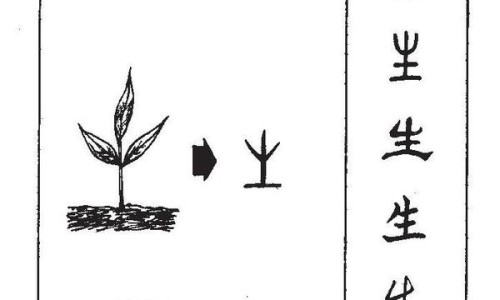 生血宁片的用法与用量-生血宁片 价格网 | 生血宁片配方表,生血宁片 价格多少钱