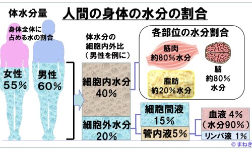 生血宁片报价-生血宁片 价格网 | 生血宁片配方表,生血宁片 价格多少钱